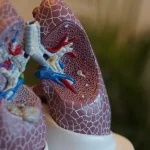 5 Usaha Kecil yang Dapat Meningkatkan Kesehatan Paru-paru Anda
